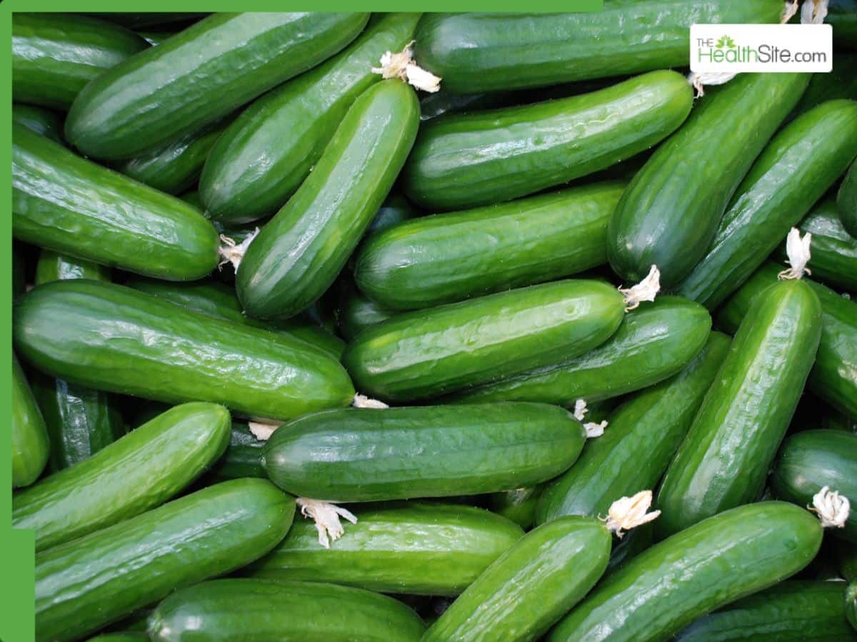 Cucumber