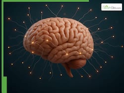 Boost Your Brain: Simple Activities To Improve Cognitive Functioning