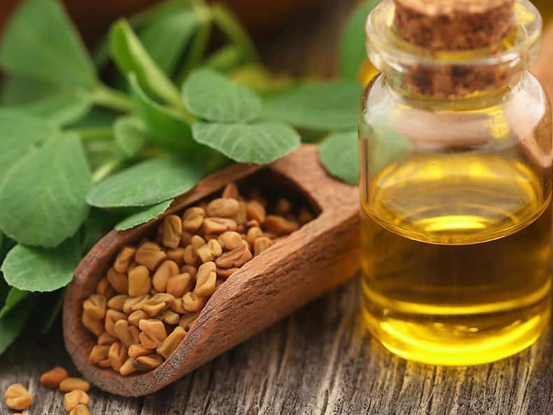 बालों को तेजी से बढ़ाने के लिए कौन-सा तेल लगाना चाहिए? इन 5 तेलों से मालिश करेंगे तो मिलेंगे कई फायदे