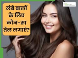 बालों को तेजी से बढ़ाने के लिए कौन-सा तेल लगाना चाहिए? इन 5 तेलों से मालिश करेंगे तो मिलेंगे कई फायदे