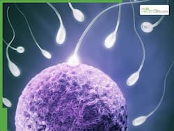 What is Azoospermia? Fertility Specialist Explains Its Impact on Male Fertility