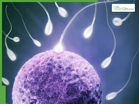What is Azoospermia? Fertility Specialist Explains Its Impact on Male Fertility