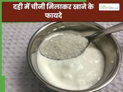 दही और चीनी खाने से सिर्फ गुड लक ही नहीं सेहत को भी मिलते हैं ये 5 फायदे