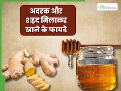 अदरक और शहद मिलाकर खाने से दूर होंगी ये 5 समस्याएं, जानें सेवन का सही तरीका