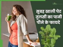 मानसून में सुबह खाली पेट तुलसी का पानी पीने से दूर होंगी ये 4 समस्याएं, जानें पीने का सही तरीका
