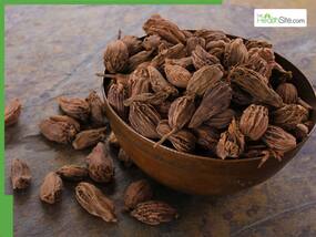 Black Cardamom Water On Empty Stomach: What Happens to Your Body If You Drink Kali Elaichi Water Daily