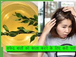 करी पत्ते से सफेद बाल काले कैसे करें? इस नेचुरल ऑयल के साथ मिक्स करके बनाएं हेयर डाय