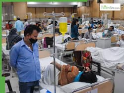 Deadly Dengue Outbreak Grips Bengaluru: 442 Cases in 20 Days, BBMP Warns of Surge as Hospitals Overflow With Patients