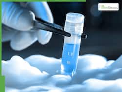 What is Embryo Freezing and Selection? Here's What Couples Need to Know About Modern IVF Labs