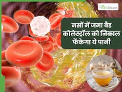 रोजाना सुबह खाली पेट पानी में उबालकर पिएं ये 1 चीज, नसों में जमा कोलेस्ट्रॉल पिघलकर निकल जाएगा बाहर