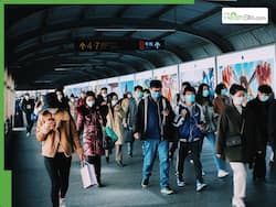 CHIKV Virus Detected In China: Border Countries Issue An Alarm