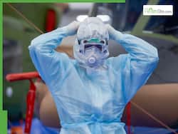 Hepatitis A Cases Surge In Maharashtra: With The Onset Of Monsoon, Cases Double This Year In Pune