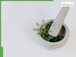 Top 5 Herbs That Keep Infections Away During Rainy Season