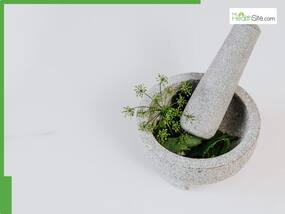 Top 5 Herbs That Keep Infections Away During Rainy Season