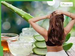 How To Make Aloe Vera Gel For Hair Growth At Home: 5 Easy Steps To Follow