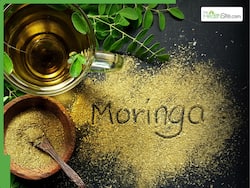 How to Use Moringa Powder Daily: Best Ways to Add Drumstick Leaf Powder to Your Diet for Maximum Health Benefits
