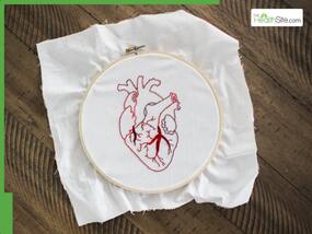 What Is Coronary Calcium Scan And How Does It Work?