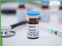 ICMR Advances Development Of Indigenous Multi Stage Malaria Vaccine AdFalciVax