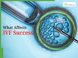 IVF Success Rates: What Really Affects Your Chances of Getting Pregnant     Expert Explains