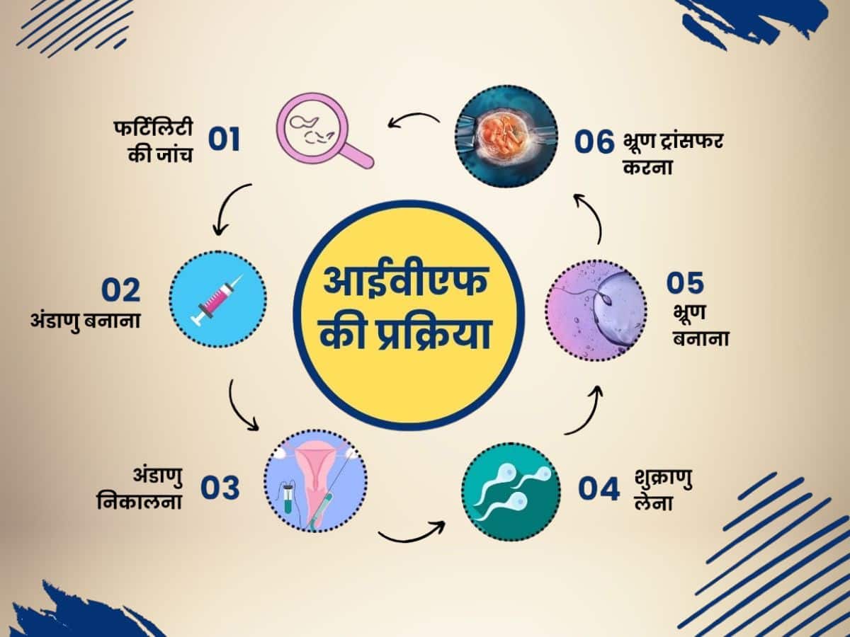 IVF process