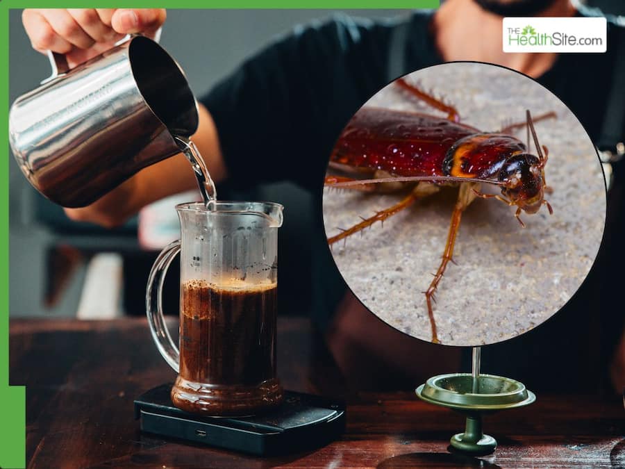 Cockroach in coffee? Pre-ground coffee can contain cockroaches parts 