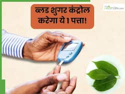 डायबिटीज के मरीज रोज सुबह खाली पेट चबाएं ये 1 पत्ता, बिना दवा के कंट्रोल रहेगा ब्लड शुगर लेवल