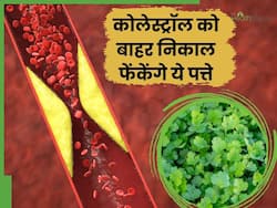 नसों में जमा कोलेस्ट्रॉल को बाहर निकाल फेंकेंगे ये 5 आयुर्वेदिक पत्ते, हार्ट ब्लॉकेज को खोलने में मिलेगी मदद