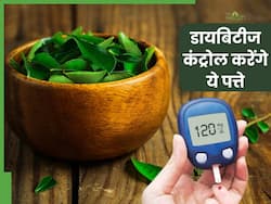 डायबिटीज का रामबाण इलाज हैं ये 5 पत्ते, सुबह खाली पेट खाने से दिनभर कंट्रोल रहेगा ब्लड शुगर लेवल