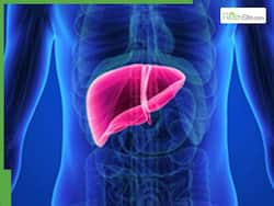 Can Fatty Liver Be Reversed? Gastroenterologist Shares 4 Natural Methods