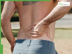 Lower Back Pain: 4 Harvard Approved Exercises For Comfort And Flexibility