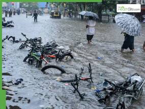Monsoon Crisis Hits Surat: New Civil Hospital Flooded With Over 3,000 Patients In a Single Day