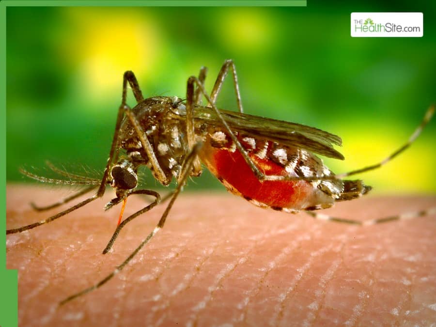 Monsoon Threat In India: 5 Health Conditions That Monsoon In India Can Trigger