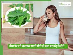 गर्मियों में सुबह उठते ही खाली पेट ये पत्ता चबाकर ऊपर से पी लें पानी, कोलोस्ट्रॉल-डायबिटीज हो जाएंगे कंट्रोल