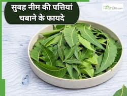 मानसून में रोज सुबह चबाएं नीम की पत्तियां, सेहत को मिलेंगे जबरदस्त फायदे
