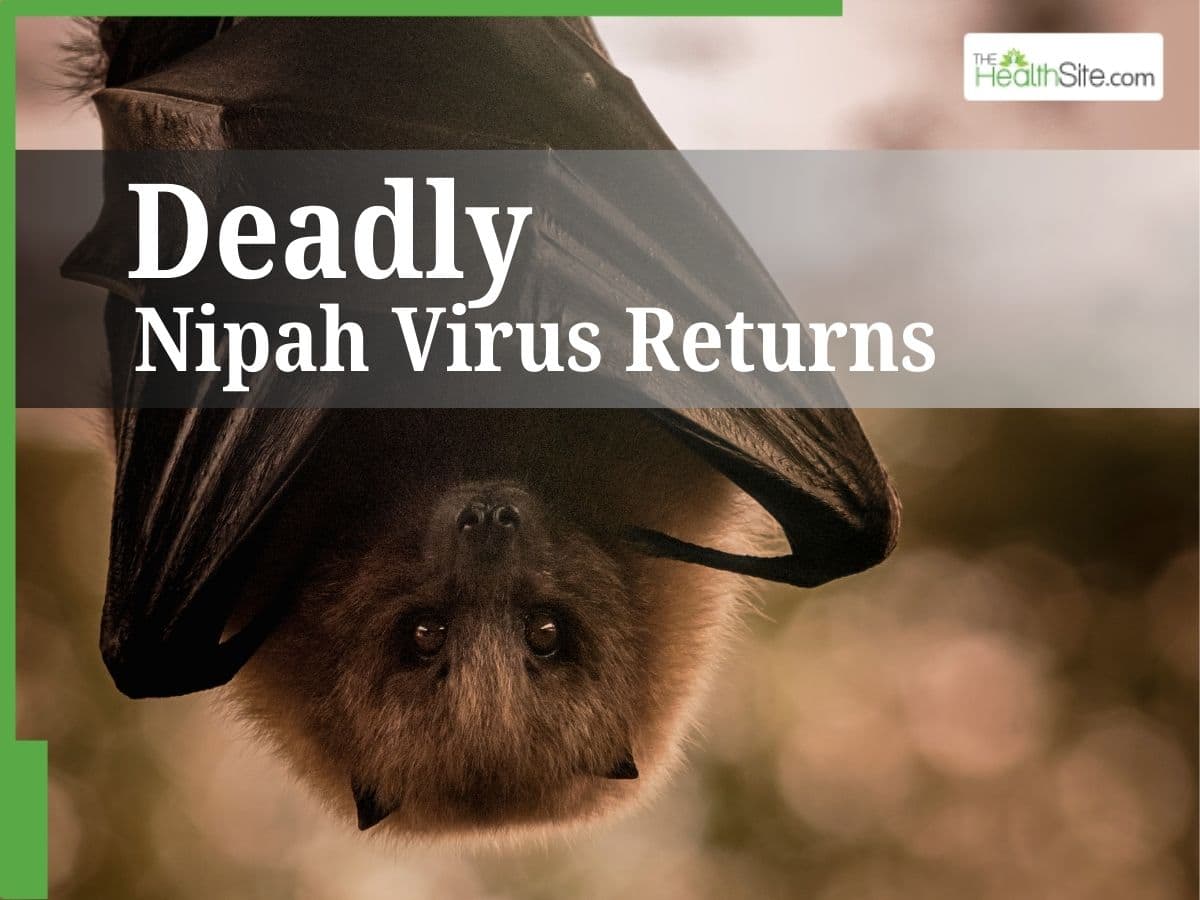 Nipah Death In Kerala: State On High Alert After Plakkad Man Dies of Nipah Virus Complications, Hundreds Feared Exposed | TheHealthSite.com