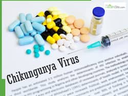 Chikungunya Cases Surge In India: Know If It's Just Regular Fever Or Chikungunya Infection