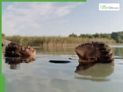 Why Is Vitamin   D3 Deficiency A Silent Epidemic? Here   s What This Expert Says