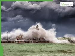 Global Tsunami Alert: How To Stay Safe During A Seismic Sea Waves