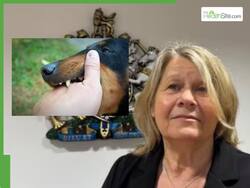 UK Woman Dies After Being Licked By Granddaughter   s Dog: Here   s How a Simple Lick Led to Fatal Sepsis