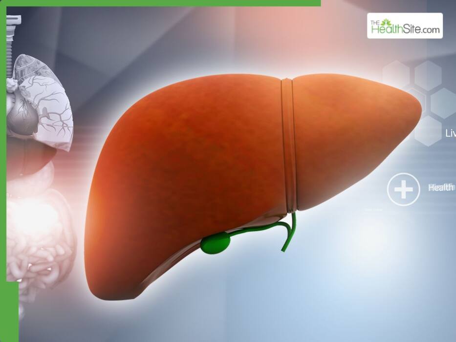 Fatty Liver Diet: 5 Monsoon Superfoods To Flush Out Excess Fat From The Liver