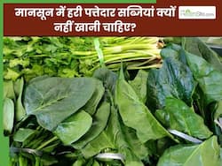 मानसून में हरी पत्तेदार सब्जियां क्यों नहीं खानी चाहिए? जानिए एक्सपर्ट से