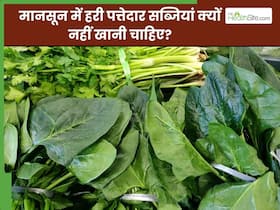 मानसून में हरी पत्तेदार सब्जियां क्यों नहीं खानी चाहिए? जानिए एक्सपर्ट से