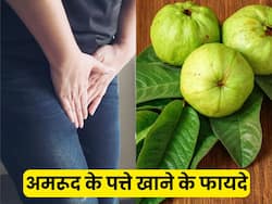 рдЕрдорд░реВрдж рдХреА рдкрддреНрддреА рдЦрд╛рдиреЗ рд╕реЗ рдХреМрди рд╕реА рдмреАрдорд╛рд░реА рдареАрдХ рд╣реЛ рд╕рдХрддреА рд╣реИ?