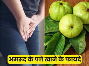 अमरूद की पत्ती खाने से कौन सी बीमारी ठीक हो सकती है?