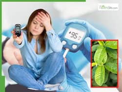 рд╕реБрдмрд╣ рдЦрд╛рд▓реА рдкреЗрдЯ рдЕрдорд░реВрдж рдХрд╛ рдкрддреНрддрд╛ рдЪрдмрд╛рдиреЗ рд╕реЗ рдПрдХ рд╕рд╛рде рджреВрд░ рд╣реЛрдВрдЧреА рдпреЗ 5 рд╕реНрд╡рд╛рд╕реНрдереНрдп рд╕рдорд╕реНрдпрд╛рдПрдВ, рдмрд╕ рдЬрд╛рди рд▓реЗрдВ рдЪрдмрд╛рдиреЗ рдХрд╛ рд╕рд╣реА рддрд░реАрдХрд╛