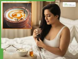 रातभर बालों में शहद और दही मिलाकर लगाने बदल जाएंगे आपके बाल, हर कोई पूछेगा लंबे और घने बालों का राज