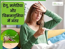 मलेरिया, डेंगू और चिकनगुनिया में क्या अंतर होता है? जानें इनके लक्षण और बचाव के उपाय