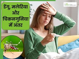 मलेरिया, डेंगू और चिकनगुनिया में क्या अंतर होता है? जानें इनके लक्षण और बचाव के उपाय