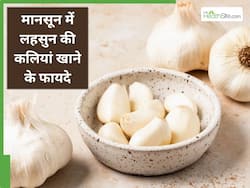 मानसून में रोज सुबह खाएं 3 लहसुन की कलियां, सेहत को मिलेंगे ये फायदे