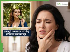 ये पत्ता चबाने से दूर हो सकता है दांत का दर्द? सदियों पुराना ये नुस्खा दूर कर देगा दांतों से जुड़ी कई बीमारियां